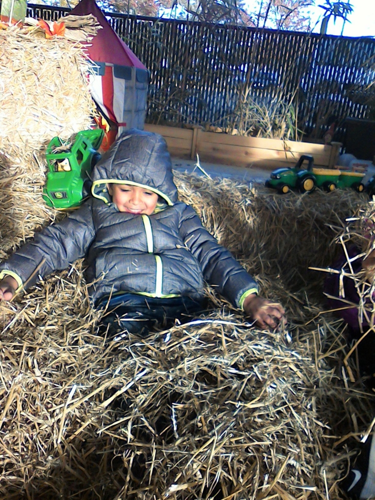 Students enjoying our Center Stage haystack maze.