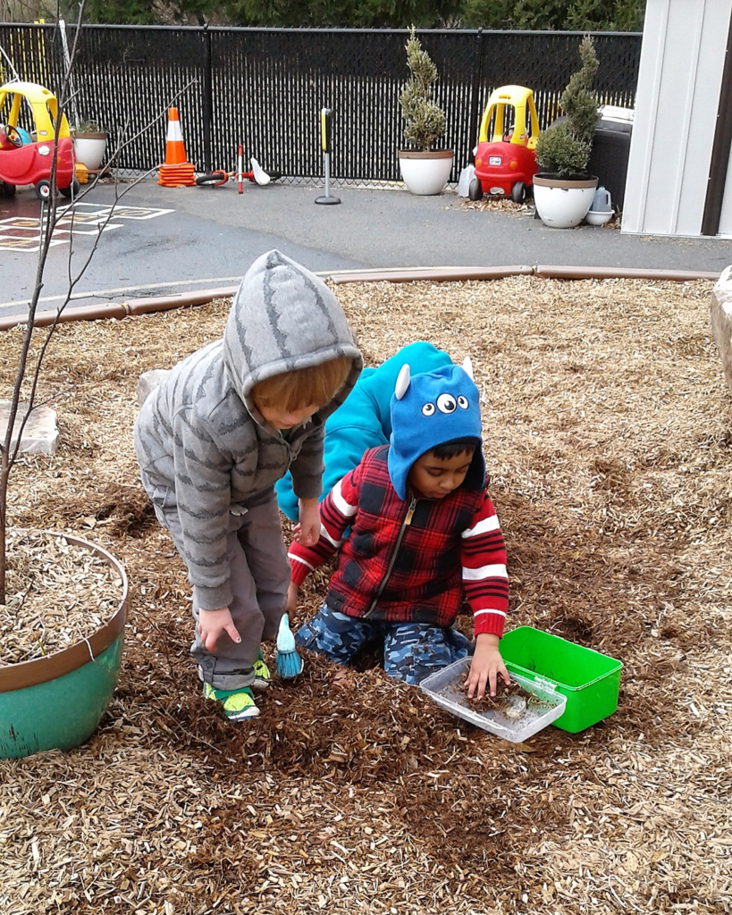 Getting mulch for the tree that they just planted.