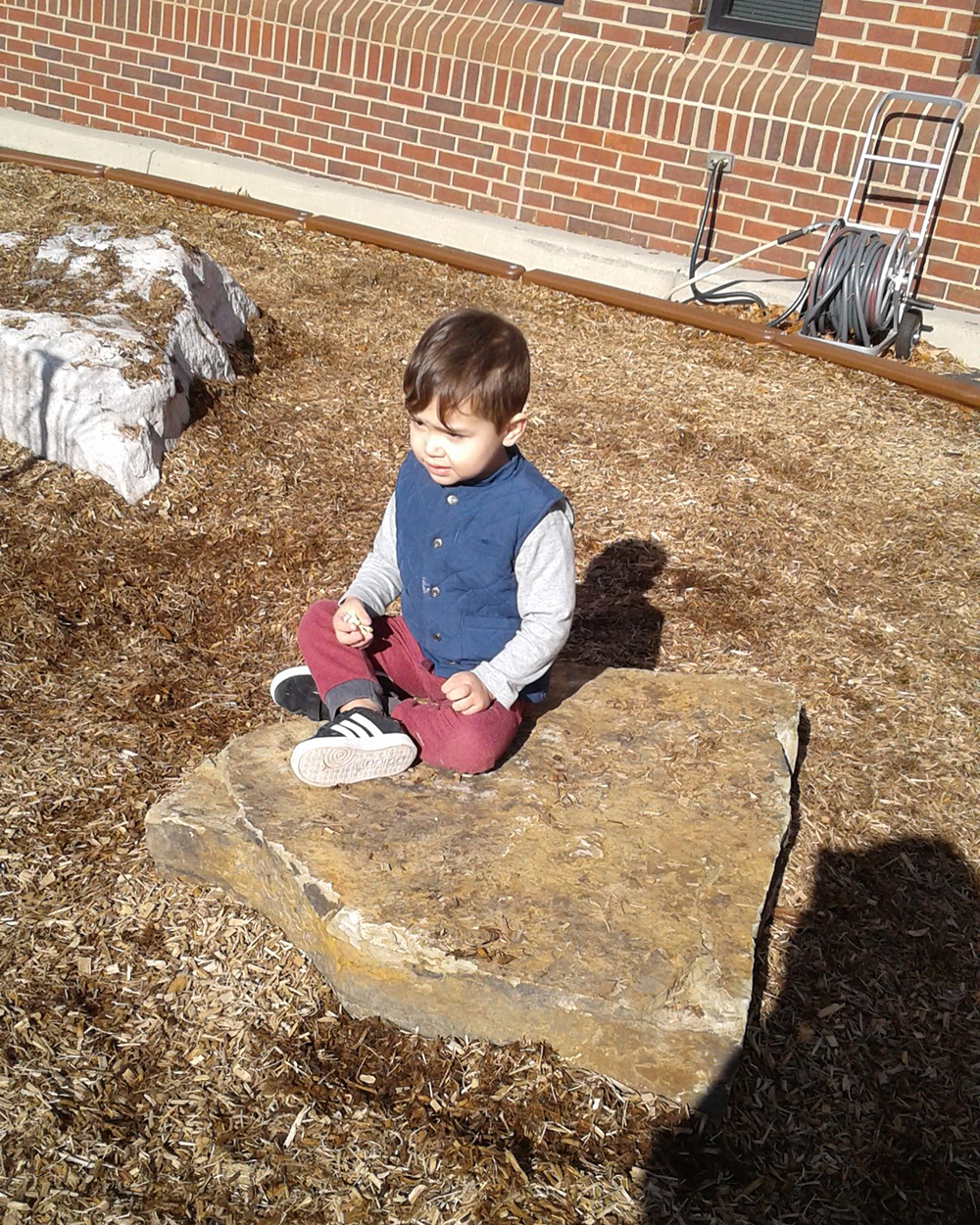 Enjoying the warm rock on a cool autumn day!